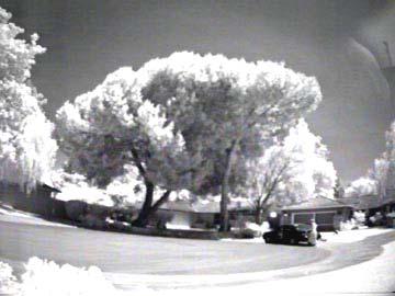 Near Infrared Band A (NA) Image Pictures that involve NIR show what is invisible to your eyes.