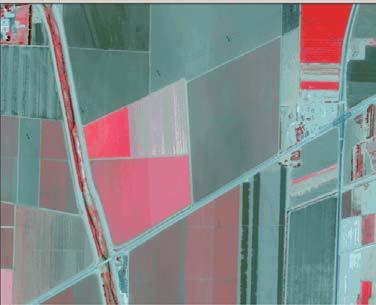 AgroWatch Products: 4 Ways to Map Variability in an Ag Field 1 2 Color