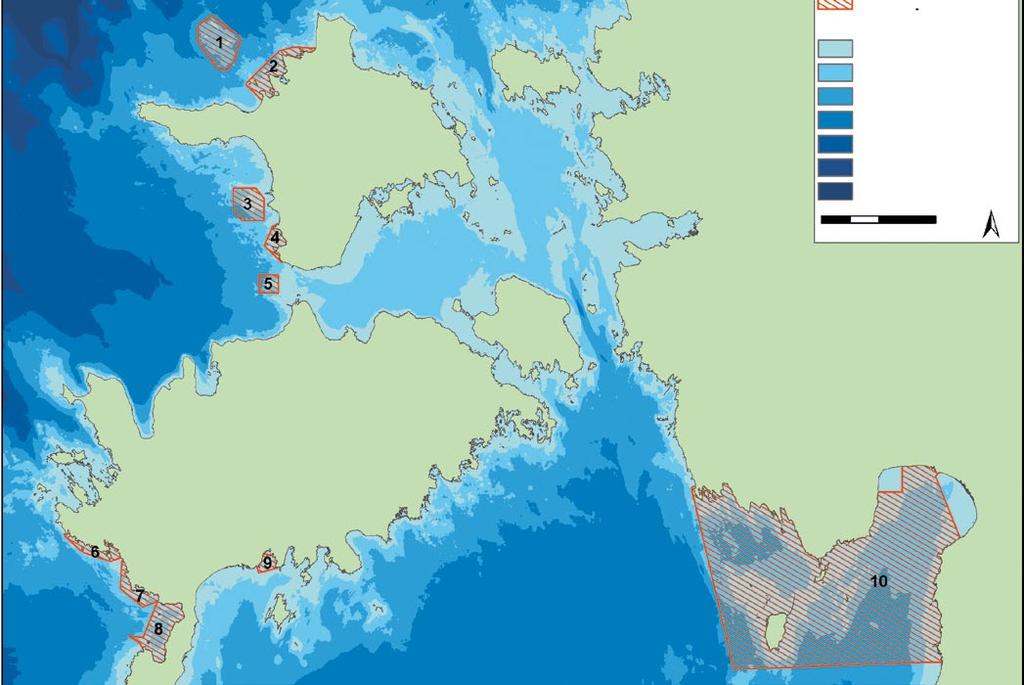 Uurimisala/inventory area Sügavus/Depth (m) 0 5 5 10 10 20 20 40 40 60 60 100 >100 km 0 5 10 20 N Joonis 11. Hiiumaa lähedalt majandusvööndist leitud korallriffisarnased moodustised.