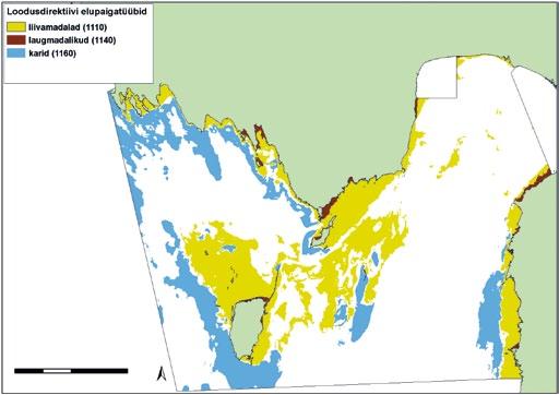Jõgede lehtersuudmete elupaigatüüpi NEMA projektis uuritud piirkondades ei esine. Joonis 14. Loodusdirektiivi elupaigatüüpide levik territoriaalmere Pärnumaa uurimisaladel.