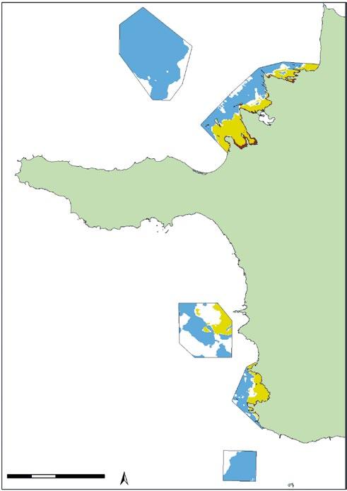 1.3 Marine habitats Loodusdirektiivi elupaigatüübid/ Habitats Directive s habitat types Liivamadalad/sandbanks (1110) Laugmadalikud/mudflats and sandflats (1140) Karid/reefs (1170) N km 0 2,5 5 10
