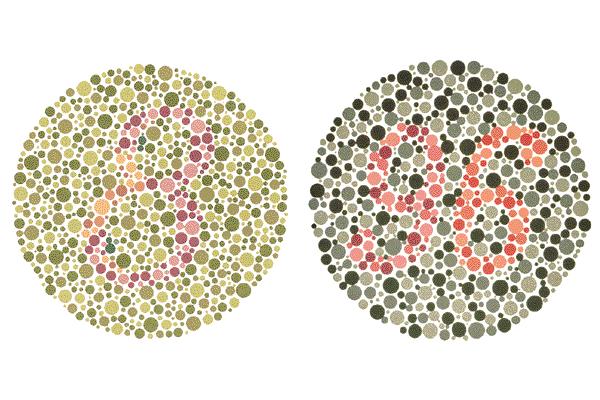 Test of color deficiency Form perception Gestalt principles describe the brain