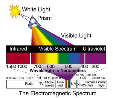 Vision Sensation & Perception Part 3 - Vision Visible light is the form of electromagnetic radiation our eyes are designed to detect.