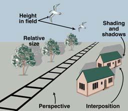 E. Location in the picture plane: We use location in the picture plane to give us information about death. When objects are below the horizon for higher objects appear to be more disciplined.