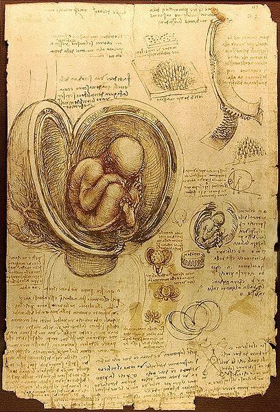 Renaissance Example #5: Brief Biography of Leonardo da Vinci (1452-1519) Leonardo da Vinci was born on April 15, 1452, in Vinci, Italy.