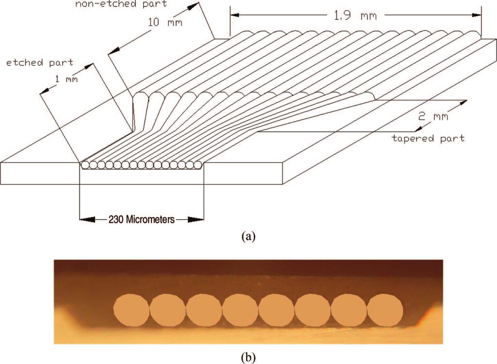 Fig. 1. (Color online) (a) Schematic of a linear fiber array with 15 channels and a silicon trench groove. (b) Linear fiber array with eight channels for POCT. Table 1.