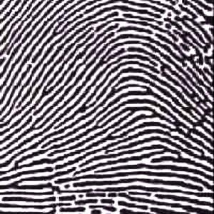 Name: 1. Fingerprint Principles According to criminal investigators, fingerprints follow 3 fundamental principles: 1.