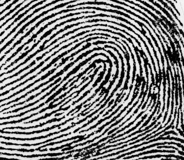 Examples Arches are the simplest type of fingerprints that are formed by ridges that enter on one of the print and exit on the. No are present.