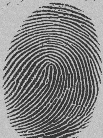6. How many ridge characteristics can you identify in this fingerprint? Use a hand lens and highlighter to help you identify the characteristics and then label each one. Try It!