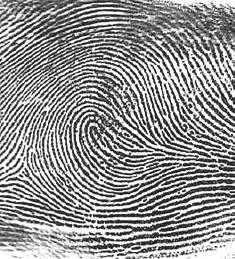 ACTIVITY 6-5 IS IT A MATCH? Objectives: By the end of this activity, you will be able to: 1. Describe and identify different types of fingerprint minutiae. 2.