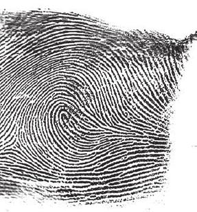 Time Required to Complete Activity: 30 minutes Introduction: Latent fingerprints found at crime scenes are usually incomplete (partial) prints.