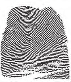 the suspect s fingerprints. 2.