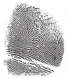 scene print and the suspect s fingerprint. 3.