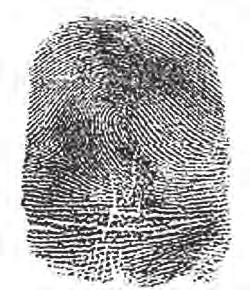 shared by the crime scene fingerprint and the