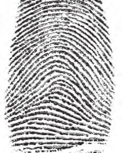 ACTIVITY 6-1 STUDY YOUR FINGERPRINTS Objectives: By the end of this activity, you will be able to: 1. Identify your fingerprints. 2. Compare your fingerprints to those of your classmates.