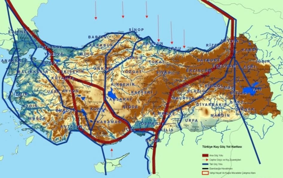main migration routes passing over Turkey.