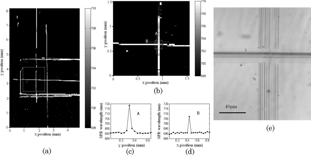 Fig. 7. (a) 2-D SPR wavelength map of a gold film scratched by a needle tip. Experimental conditions are the following: BK7 glass prism, 2 nm Cr film, 40 nm gold film, sensing target is air.