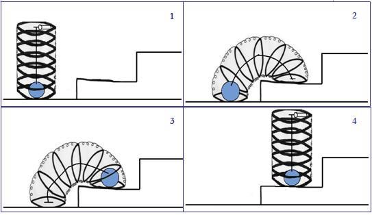 As a result, it satisfies the CNs in Technical Aspect. Figure 4. Moving mechanism of concept 1 Concept 2 is a remodeled robot where absorbers were added to the main body of a snake robot.