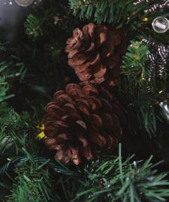 ORNAMENTS WITH EARTHY TEXTURES AND
