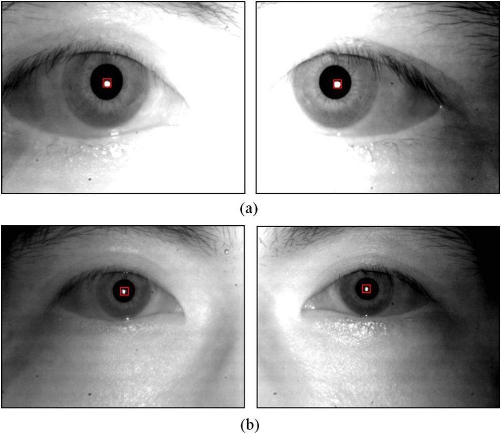 Fig. 8 Examples of the detected specular reflection (SR) in the captured NFOV images according to Z distance: (a) 25 cm, (b) 40 cm. user (between 9.26 and 13.