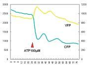 (PFS) to continuously correct focus drift caused by temperature changes resulting from reagent droplets or prolonged imaging.