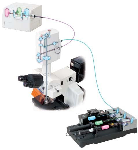 Compact and flexible Flexible, modular design All main components are modular including the laser box, scanner head, and detection module, facilitating simple expansion to meet diverse user needs and