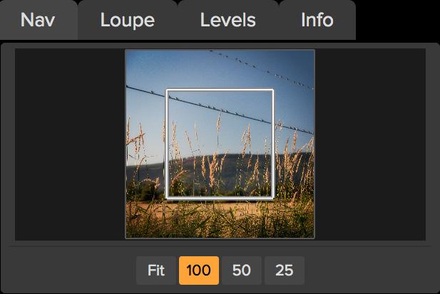 To pan (scroll) in the Preview window: 1. Select the Hand Tool and drag the image until you locate the area you wish to view. 2.