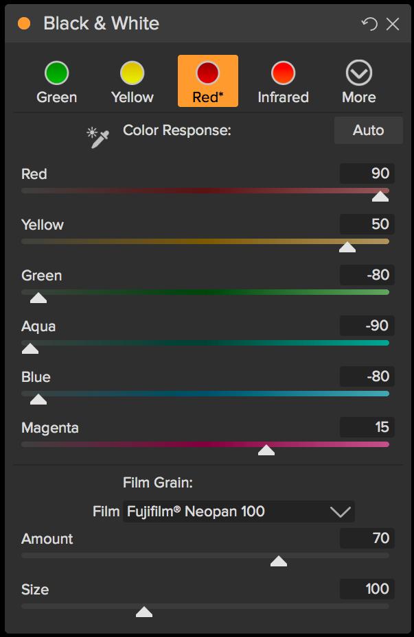 The styles at the top of the pane represent different filter types often applied to an image, while the Auto button selects optimal mix of the Color Response sliders.