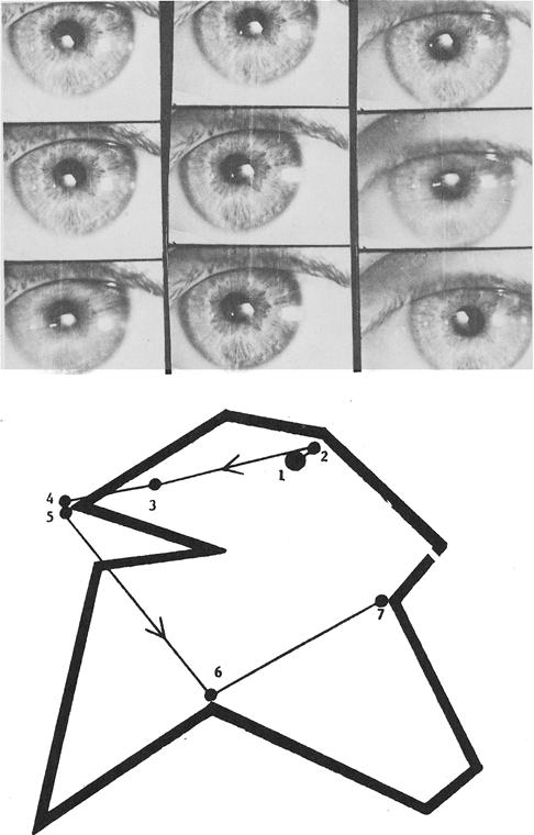 Using this procedure to analyze the records, it was possible to relate the parameters of visual fixations (number of fixations, duration of fixations, and sequence of fixations) to form details of