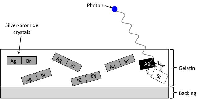 Figure 4: Schematic of film being exposed. Light hits the film and interacts with the AgBr crystals suspended in the gelatin, breaking them into silver and bromine atoms and creating a dark spot.