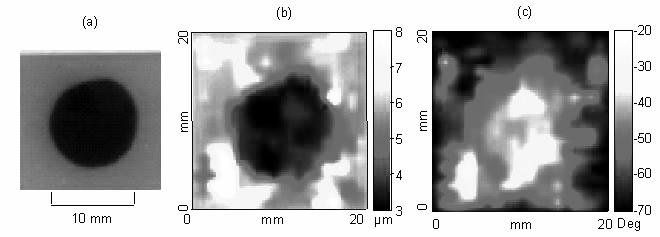 154 MALEKE ET AL FIG. 8 Result of tissue-mimicking phantom experiment with 40 kpa cylindrical inclusion.