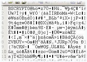 BS Encrypt