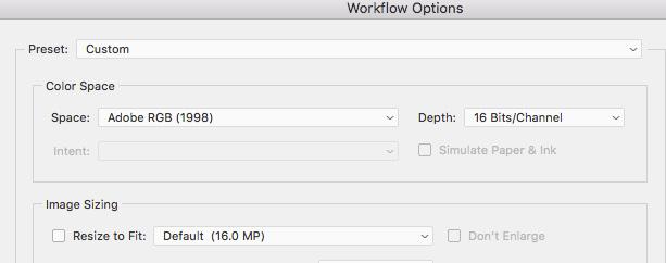 2. In the Workflow Options dialog box, be sure that 16