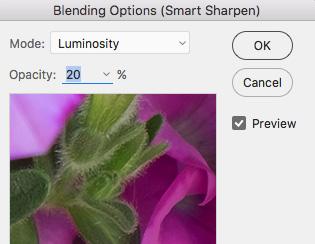Choose Lens Blur from the Remove: drop down list 5. Click OK 6. In the Layers panel, double-click on the icon to the right of Smart Sharpen to display the Blending Options dialog 7.