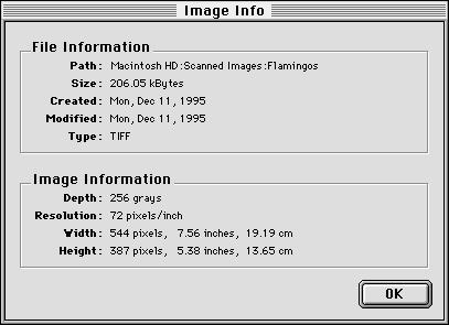 Get Info Opens a dialog box that provides detailed information about a selected image, such as size, date created and modified, and image