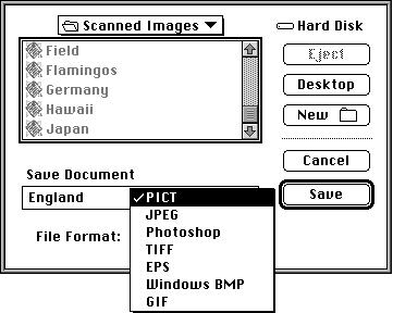 If this is the first time you ve saved the image, the Save As dialog box opens. You can choose a file format for the image.