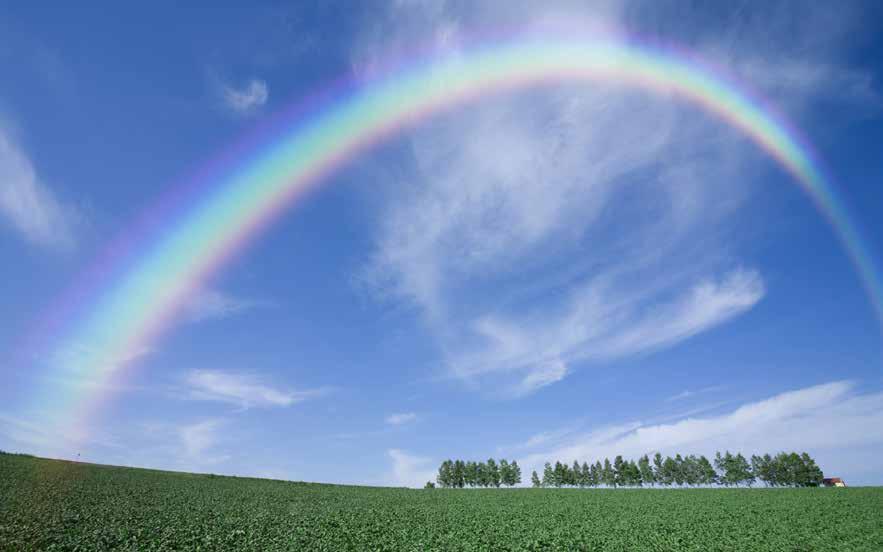 Visible Light A Rainbow is an arch of colours visible in the sky, caused by the refraction and dispersion of the sun s light by rain or