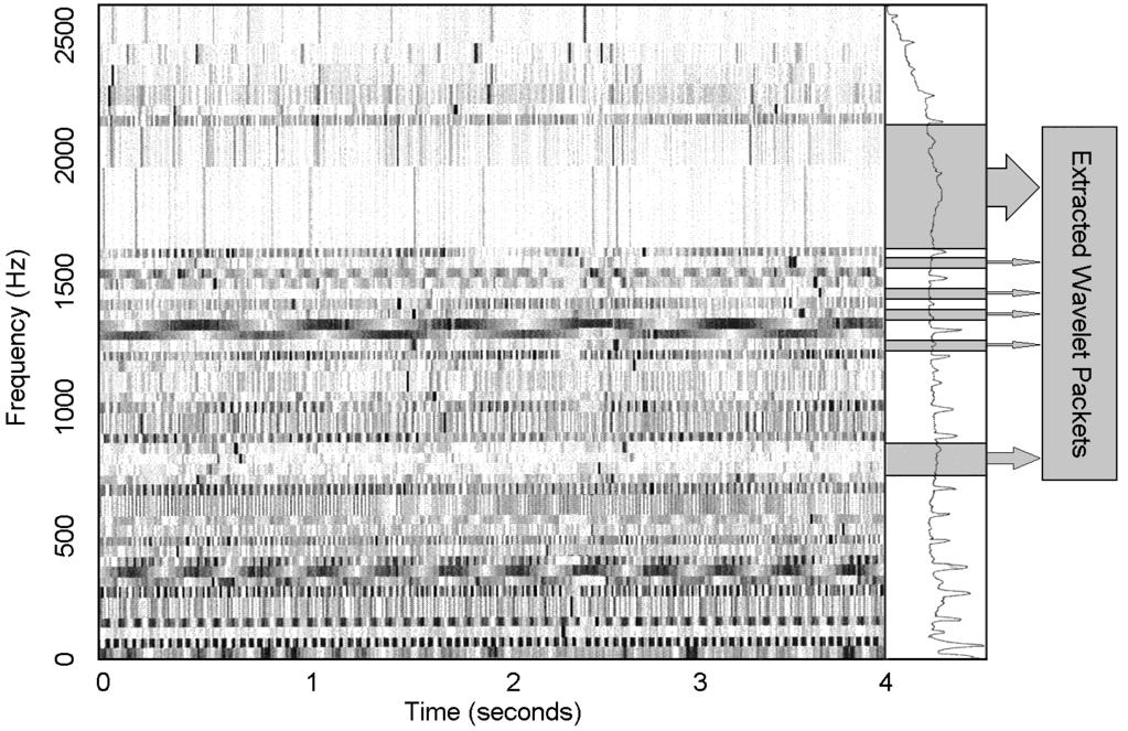 680 Chapter 15: Time-Frequency Diagnosis and Monitoring Fig. 15.6.4: DWPA representation of the vibration signal showing wavelet packets selected by ANFIS.