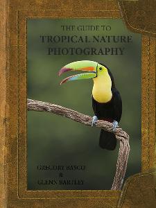 whopping 377 pages, absolutely nothing is left out. Natural light, artificial light, wildlife, habitat, and macro techniques are covered extensively.