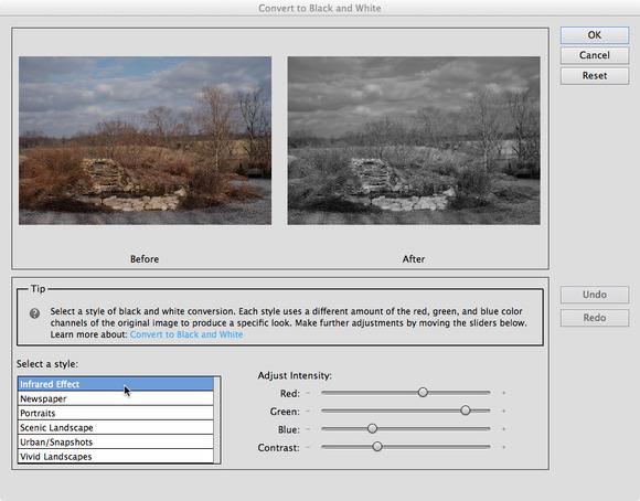 Step 4: Go to Enhance > Convert to Black and White. This opens a separate dialog box with before and after views of the image. Step 5: Select a style from the list of presets.