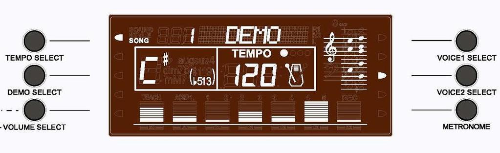 2.1. LCD Display screen Tempo Menu/message display Metronome Chord 1.2.2. TEMPO SELECT Tempo or speed, at which the rhythm accompaniment & DEMO is played.