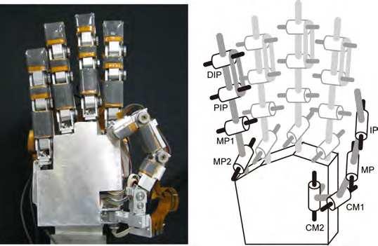 98 The Future of Humanoid Robots Research and Applications In this paper, a new robot hand is developed on resulting knowledge for advancing our study.