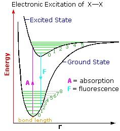 are excited to a higher electronic state by absorption of UV photons.