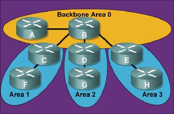 New terminology for areas: OSPF Areas Transit Area Also known as Backbone Area 0 Regular Area Also known as Nonbackbone areas 3 OSPF Database OSPF