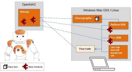 Aside from autonomous behavior available natively through a new NAO, there are ways to program them through different platforms on computers.