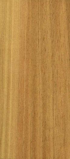 s of Main Hardwood Stock EUROPEAN WALNUT - Juglans regia European Walnut is readily available from Sykes Timber in veneer grade boules and we regularly supply this timber to