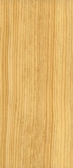 uk s of Main Softwood Stock DOUGLAS FIR - Pseudotsuga menziesii Douglas Fir is versatile in that it can be used externally or internally and offers good stability in service.