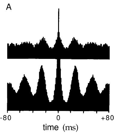 Spike train autocorrelation: Measuring Oscillations Align signal with itself, calculate correlation coefficient (gotta get 1 here) Delay signal relative to itself by Δt, calculate correlation
