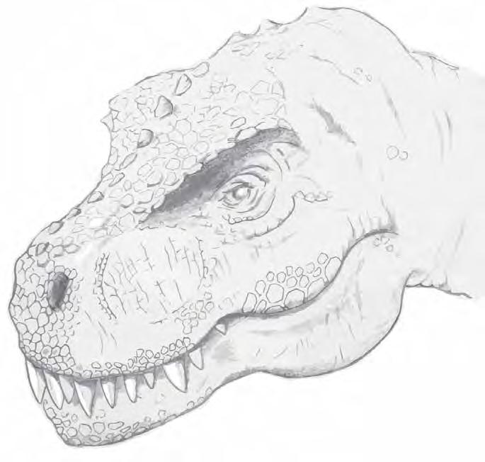 The Secret Dinosaur colouring projects 1 Tyrannosaurus Rex The top predator of the Cretaceous era,