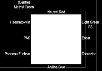 of commonly used staining protocols set of colours